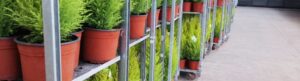 planten quattro plant 10 hacks blog TrackOnline