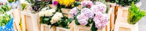 trays met planten bloemen