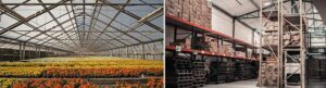 Trends retail floriculture sector planten