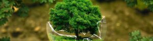 World environment day using returnable assets infinitely