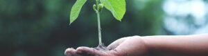 reusable packaging - reducing environmental impact